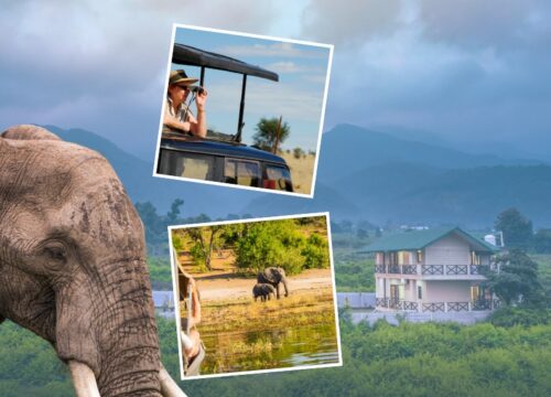 From Wildlife Safaris to Lakeside Strolls: A Memorable Itinerary for Nainital and Jim Corbett