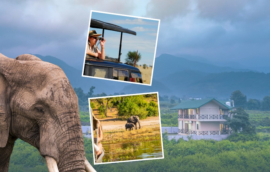 From Wildlife Safaris to Lakeside Strolls: A Memorable Itinerary for Nainital and Jim Corbett